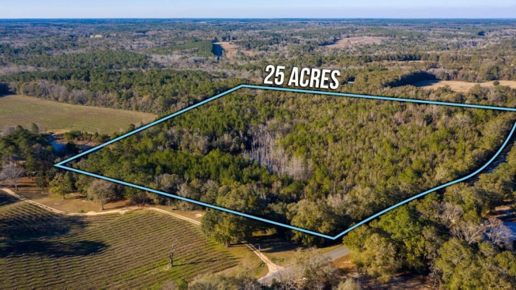 Defuniak Springs, Florida 32433, ,Land,For Sale,CO HWY 1883,862541