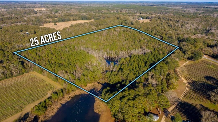 Defuniak Springs, Florida 32433, ,Land,For Sale,CO HWY 1883,862541
