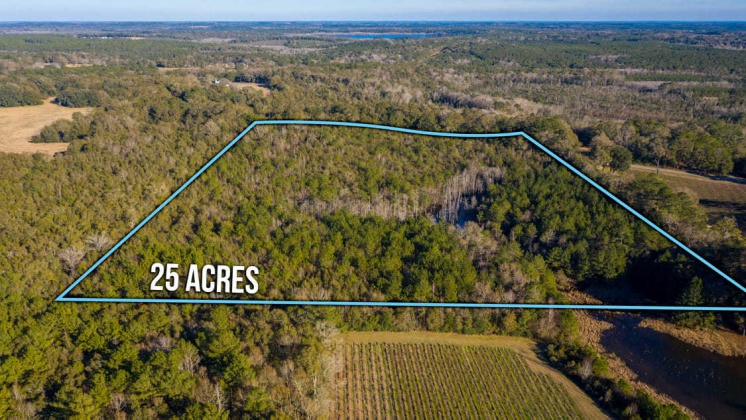Defuniak Springs, Florida 32433, ,Land,For Sale,CO HWY 1883,862541