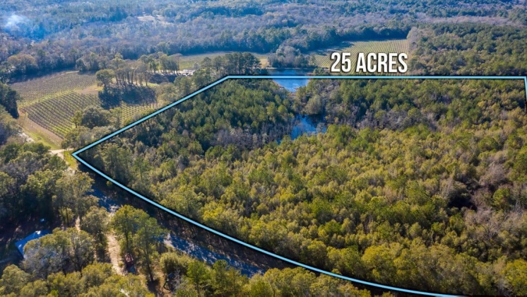 Defuniak Springs, Florida 32433, ,Land,For Sale,CO HWY 1883,862541
