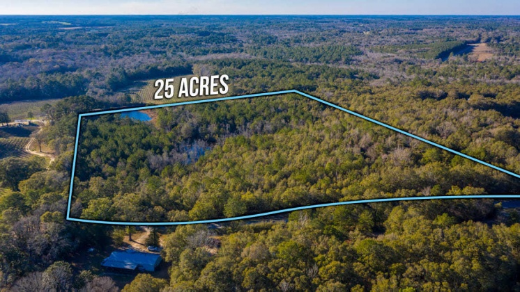 Defuniak Springs, Florida 32433, ,Land,For Sale,CO HWY 1883,862541