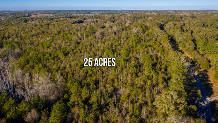 Defuniak Springs, Florida 32433, ,Land,For Sale,CO HWY 1883,862541