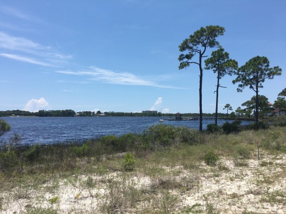 Panama City Beach, Florida 32413, ,Land,For Sale,Water Oak,823086
