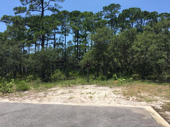 Panama City Beach, Florida 32413, ,Land,For Sale,Water Oak,823086