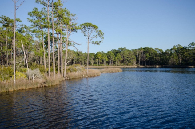 Panama City Beach, Florida 32413, ,Land,For Sale,Water Oak,823086