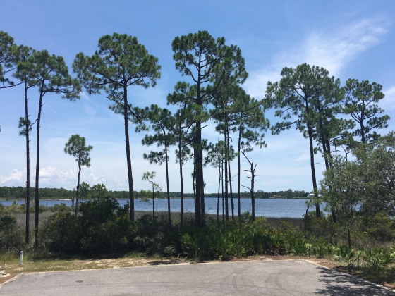 Panama City Beach, Florida 32413, ,Land,For Sale,Water Oak,823086