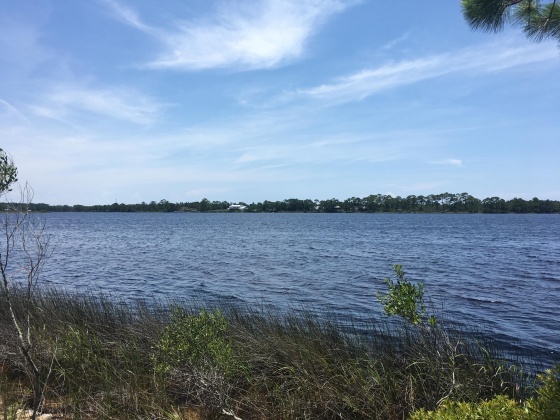 Panama City Beach, Florida 32413, ,Land,For Sale,Water Oak,823086