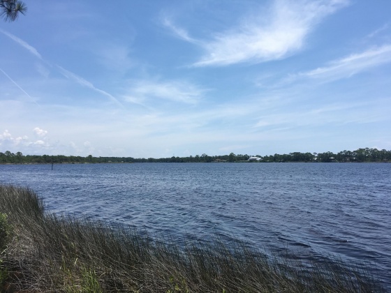 Panama City Beach, Florida 32413, ,Land,For Sale,Water Oak,823086