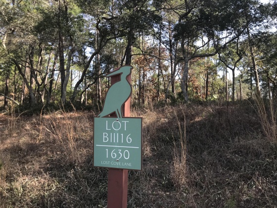 Panama City Beach, Florida 32413, ,Land,For Sale,Lost Cove,862609