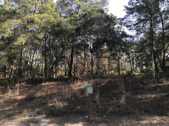 Panama City Beach, Florida 32413, ,Land,For Sale,Lost Cove,862609