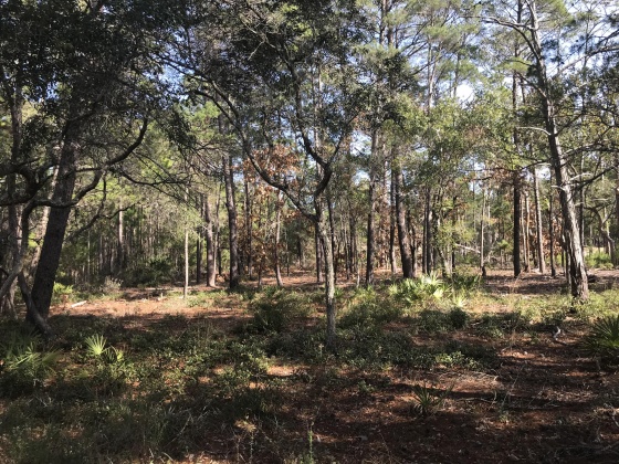 Panama City Beach, Florida 32413, ,Land,For Sale,Lost Cove,862609