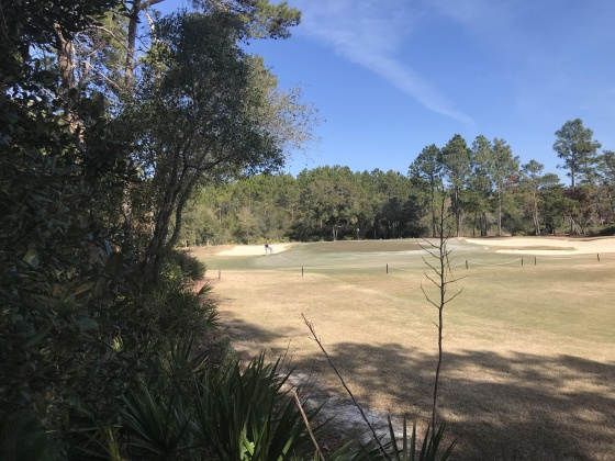 Panama City Beach, Florida 32413, ,Land,For Sale,Lost Cove,862609