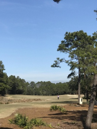 Panama City Beach, Florida 32413, ,Land,For Sale,Lost Cove,862609