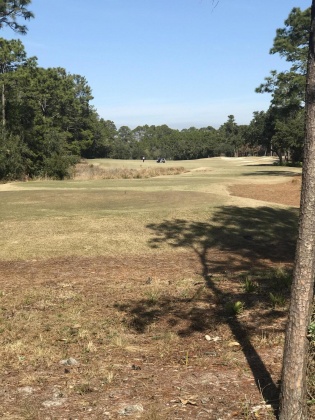 Panama City Beach, Florida 32413, ,Land,For Sale,Lost Cove,862609