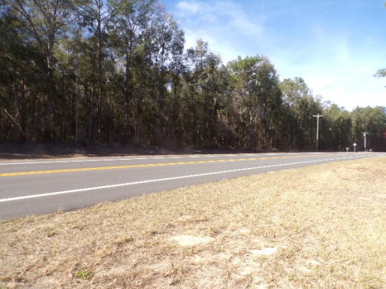 Ponce De Leon, Florida 32455, ,Land,For Sale,Hwy 81,862642