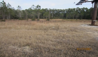 Freeport, Florida 32439, ,Land,For Sale,US-331,862710