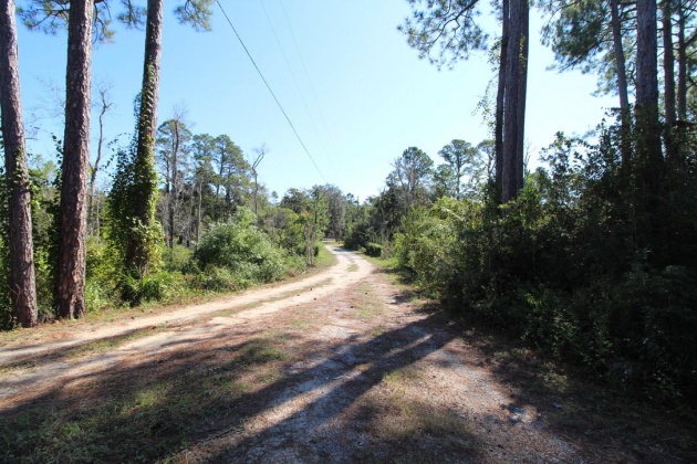 Santa Rosa Beach, Florida 32459, ,Land,For Sale,Don Bishop,862712