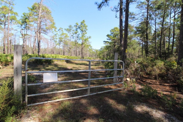 Santa Rosa Beach, Florida 32459, ,Land,For Sale,Don Bishop,862712