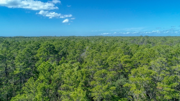 Santa Rosa Beach, Florida 32459, ,Land,For Sale,Don Bishop,862712