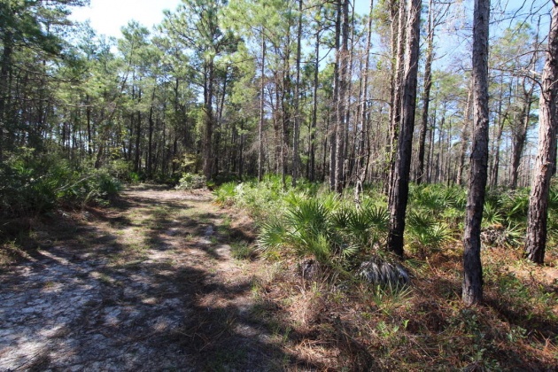 Santa Rosa Beach, Florida 32459, ,Land,For Sale,Don Bishop,862712