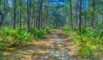 Santa Rosa Beach, Florida 32459, ,Land,For Sale,Don Bishop,862712