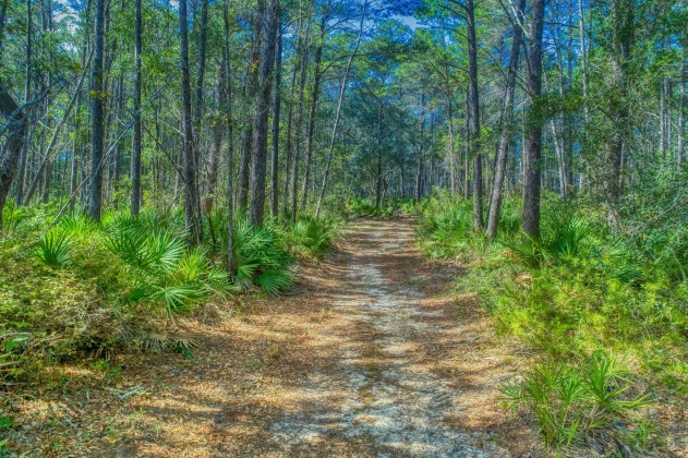 Santa Rosa Beach, Florida 32459, ,Land,For Sale,Don Bishop,862712