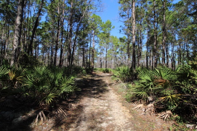 Santa Rosa Beach, Florida 32459, ,Land,For Sale,Don Bishop,862712