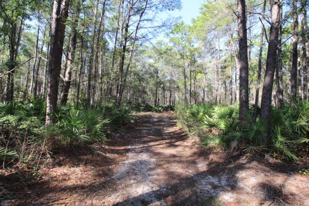 Santa Rosa Beach, Florida 32459, ,Land,For Sale,Don Bishop,862712