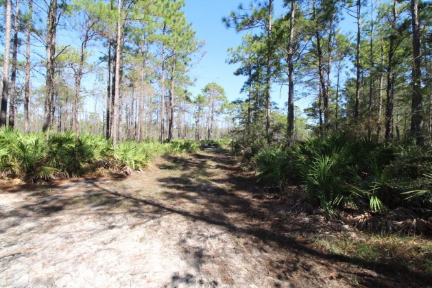 Santa Rosa Beach, Florida 32459, ,Land,For Sale,Don Bishop,862712