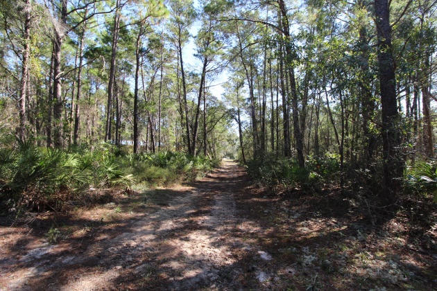 Santa Rosa Beach, Florida 32459, ,Land,For Sale,Don Bishop,862712