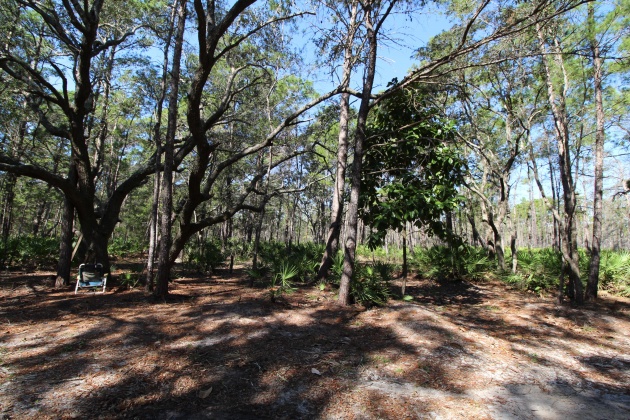 Santa Rosa Beach, Florida 32459, ,Land,For Sale,Don Bishop,862712