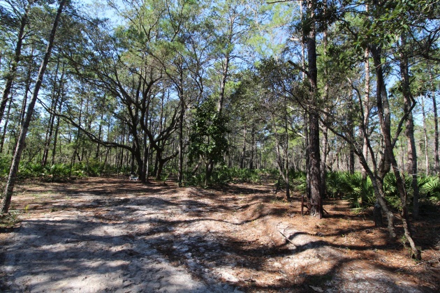 Santa Rosa Beach, Florida 32459, ,Land,For Sale,Don Bishop,862712