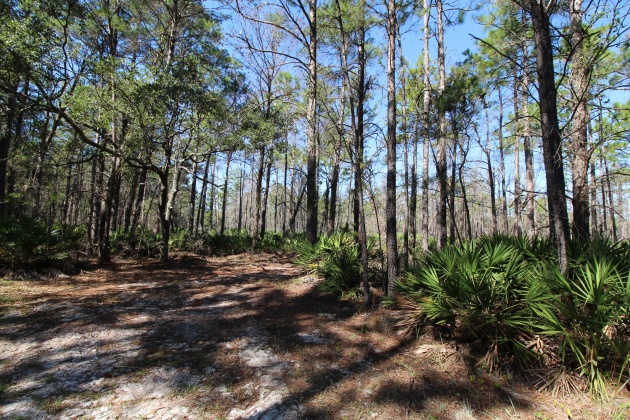 Santa Rosa Beach, Florida 32459, ,Land,For Sale,Don Bishop,862712