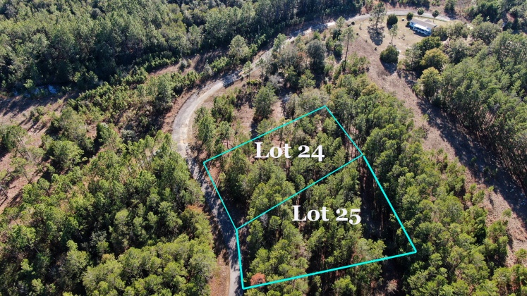 Ponce De Leon, Florida 32455, ,Land,For Sale,Golf Club,862827