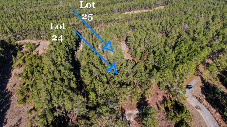 Ponce De Leon, Florida 32455, ,Land,For Sale,Golf Club,862827