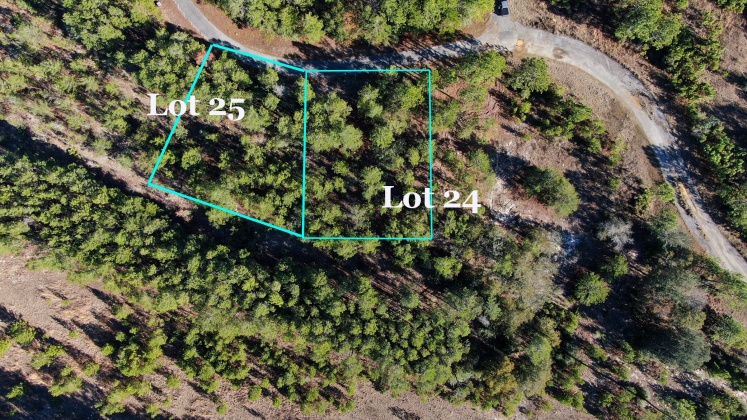 Ponce De Leon, Florida 32455, ,Land,For Sale,Golf Club,862827