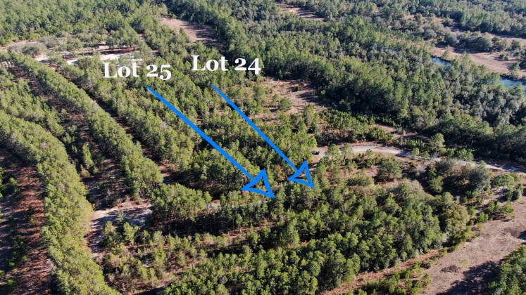 Ponce De Leon, Florida 32455, ,Land,For Sale,Golf Club,862827