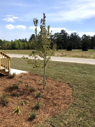 Defuniak Springs, Florida 32435, 3 Bedrooms Bedrooms, ,2 BathroomsBathrooms,Residential,For Sale,Graysen,863049