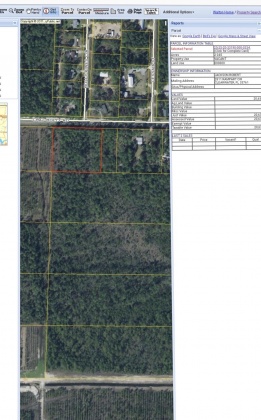 Santa Rosa Beach, Florida 32459, ,Land,For Sale,Chat Holly,847884