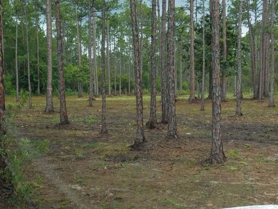 Santa Rosa Beach, Florida 32459, ,Land,For Sale,Chat Holly,847884