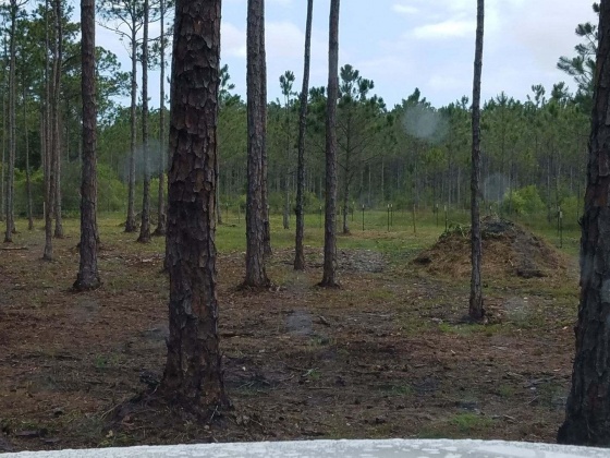 Santa Rosa Beach, Florida 32459, ,Land,For Sale,Chat Holly,847884