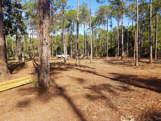 Santa Rosa Beach, Florida 32459, ,Land,For Sale,Chat Holly,847884