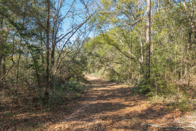 Defuniak Springs, Florida 32433, ,Land,For Sale,County Hwy 183,863161