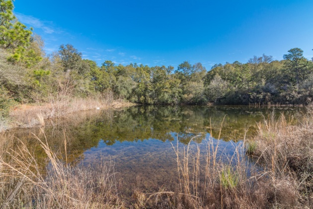 Defuniak Springs, Florida 32433, ,Land,For Sale,County Hwy 183,863161