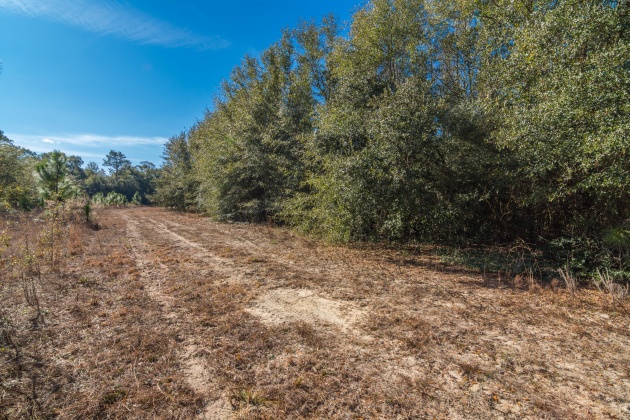 Defuniak Springs, Florida 32433, ,Land,For Sale,County Hwy 183,863161