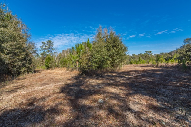 Defuniak Springs, Florida 32433, ,Land,For Sale,County Hwy 183,863161