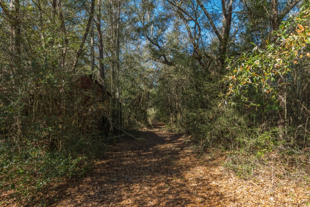 Defuniak Springs, Florida 32433, ,Land,For Sale,County Hwy 183,863161