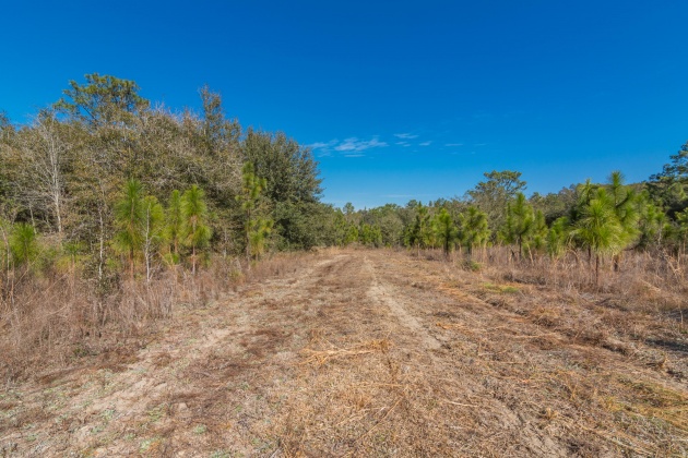 Defuniak Springs, Florida 32433, ,Land,For Sale,County Hwy 183,863161