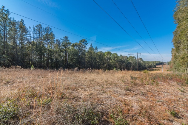 Defuniak Springs, Florida 32433, ,Land,For Sale,County Hwy 183,863161