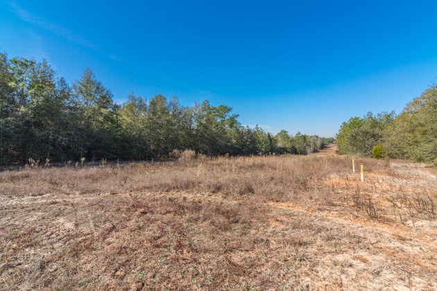 Defuniak Springs, Florida 32433, ,Land,For Sale,County Hwy 183,863161